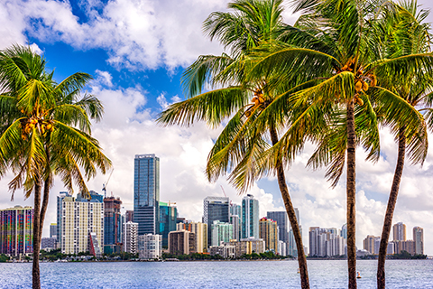 This is a stock photo from Shutterstock. The image looks at the downtown Miami cityscape in the background. Palm trees and a sandy beach are in the foreground of the image.